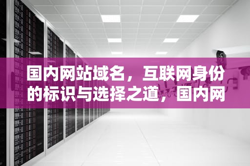 国内网站域名，互联网身份的标识与选择之道，国内网站域名查询