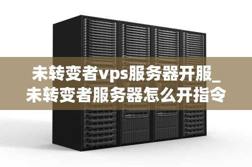 未转变者vps服务器开服_未转变者服务器怎么开指令_未转变者VPS服务器开服指南