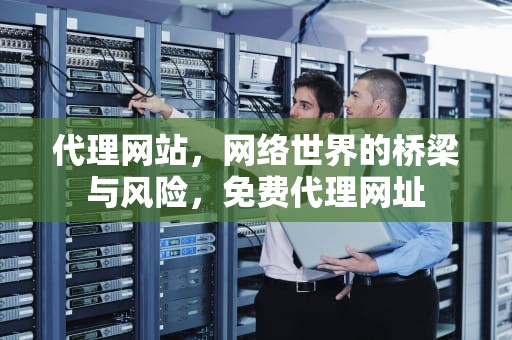 代理网站，网络世界的桥梁与风险，免费代理网址