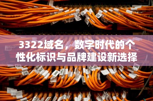 3322域名，数字时代的个性化标识与品牌建设新选择，3322域名网站