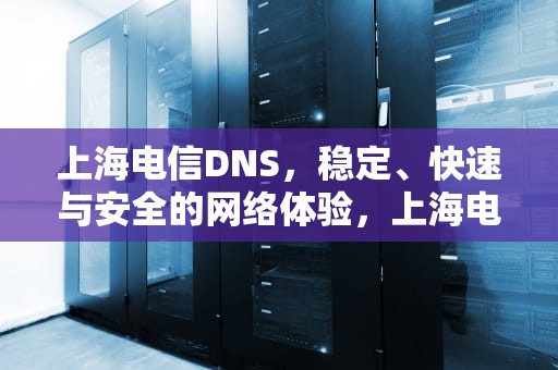 上海电信DNS，稳定、快速与安全的网络体验，上海电信dns地址
