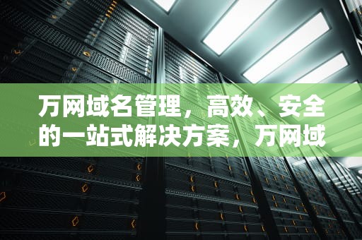 万网域名管理，高效、安全的一站式解决方案，万网域名管理类联考考什么