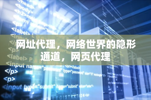 网址代理，网络世界的隐形通道，网页代理