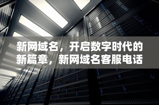 新网域名，开启数字时代的新篇章，新网域名客服电话人工
