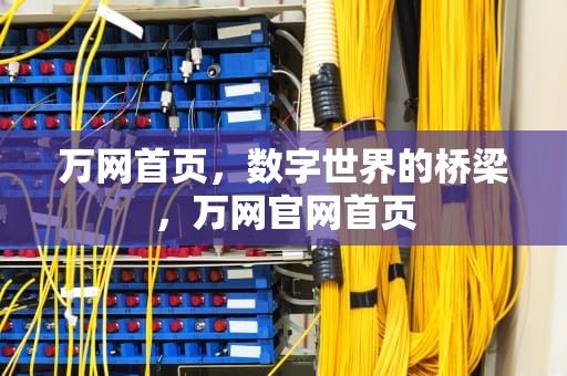 万网首页，数字世界的桥梁，万网官网首页