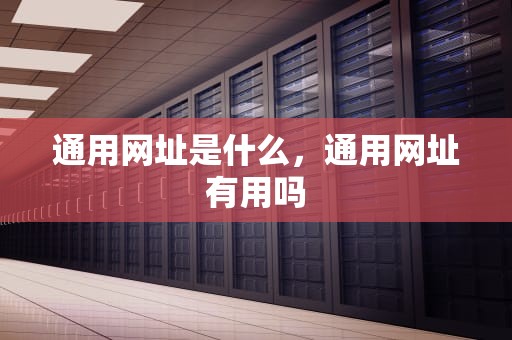 通用网址是什么，通用网址有用吗