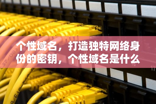 个性域名，打造独特网络身份的密钥，个性域名是什么