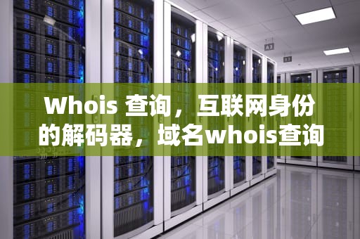 Whois 查询，互联网身份的解码器，域名whois查询