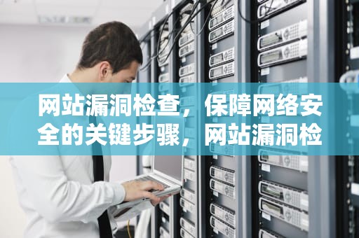 网站漏洞检查，保障网络安全的关键步骤，网站漏洞检查方法