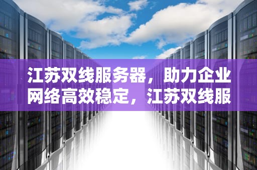 江苏双线服务器，助力企业网络高效稳定，江苏双线服务器厂家
