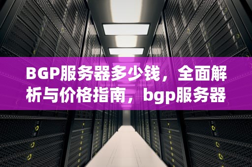 BGP服务器多少钱，全面解析与价格指南，bgp服务器多少钱芝麻
