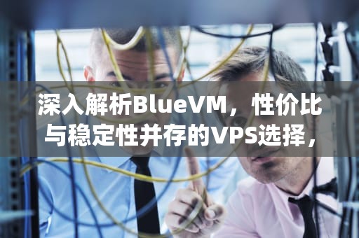 深入解析BlueVM，性价比与稳定性并存的VPS选择，bluevm.tips