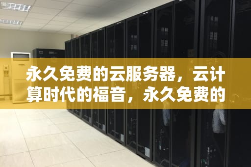 永久免费的云服务器，云计算时代的福音，永久免费的云服务器有哪些