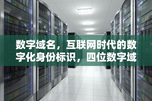 数字域名，互联网时代的数字化身份标识，四位数字域名