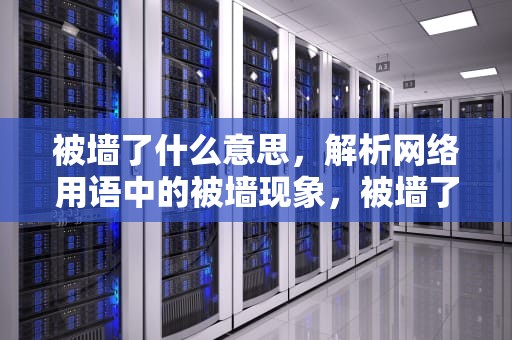 被墙了什么意思，解析网络用语中的被墙现象，被墙了啥意思