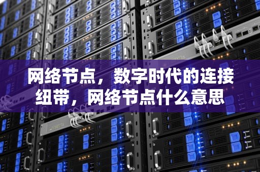 网络节点，数字时代的连接纽带，网络节点什么意思