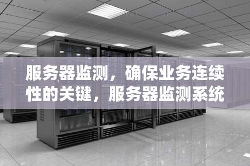 服务器监测，确保业务连续性的关键，服务器监测系统