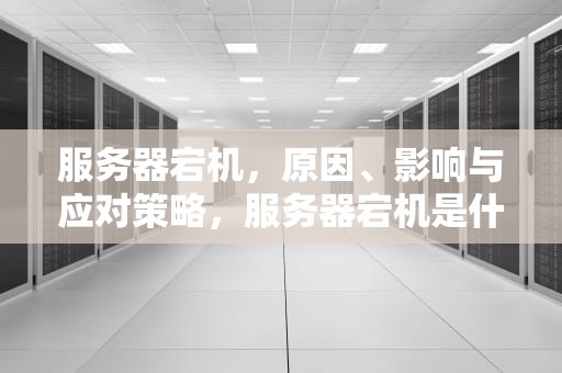 服务器宕机，原因、影响与应对策略，服务器宕机是什么意思