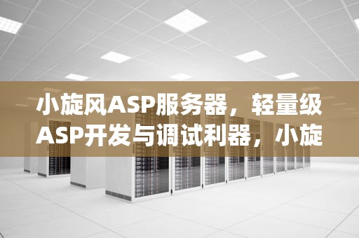 小旋风ASP服务器，轻量级ASP开发与调试利器，小旋风asp服务器连接失败