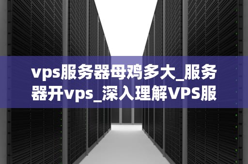vps服务器母鸡多大_服务器开vps_深入理解VPS服务器母鸡的大小