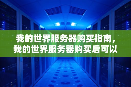 我的世界服务器购买指南，我的世界服务器购买后可以改版本嘛