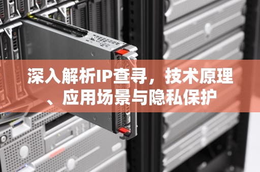 深入解析IP查寻，技术原理、应用场景与隐私保护
