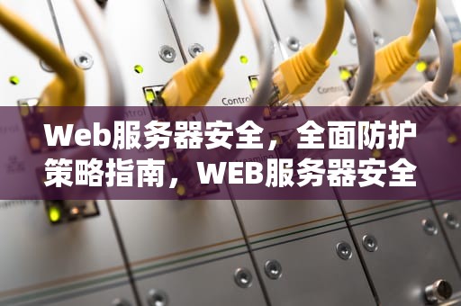 Web服务器安全，全面防护策略指南，WEB服务器安全加固一般不包括