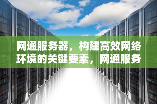 网通服务器，构建高效网络环境的关键要素，网通服务器和电信服务器的区别