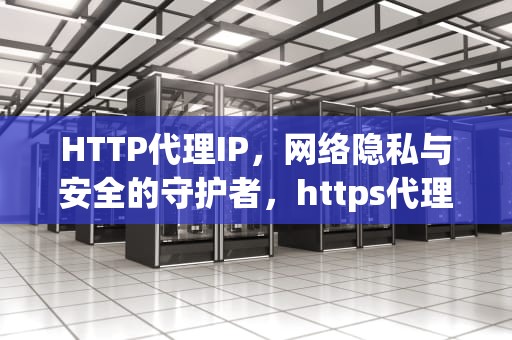 HTTP代理IP，网络隐私与安全的守护者，https代理ip地址