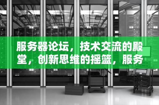 服务器论坛，技术交流的殿堂，创新思维的摇篮，服务器论坛交流
