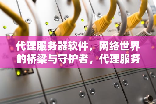 代理服务器软件，网络世界的桥梁与守护者，代理服务器软件安卓版