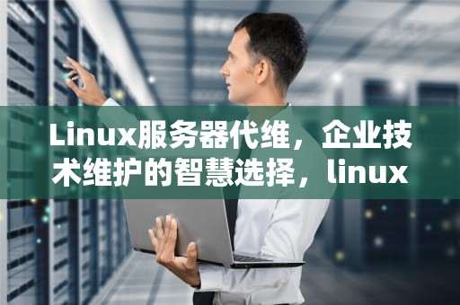 Linux服务器代维，企业技术维护的智慧选择，linux服务器代理
