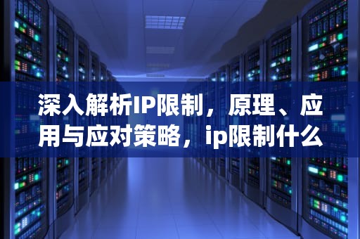 深入解析IP限制，原理、应用与应对策略，ip限制什么意思
