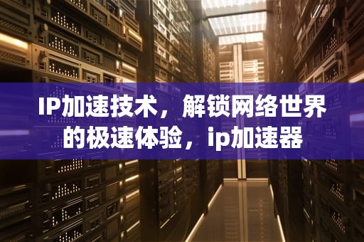 IP加速技术，解锁网络世界的极速体验，ip加速器