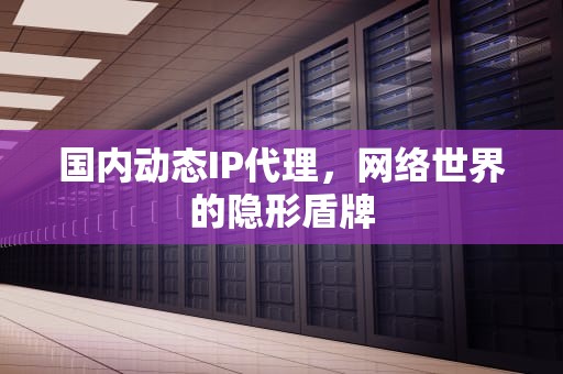 国内动态IP代理，网络世界的隐形盾牌