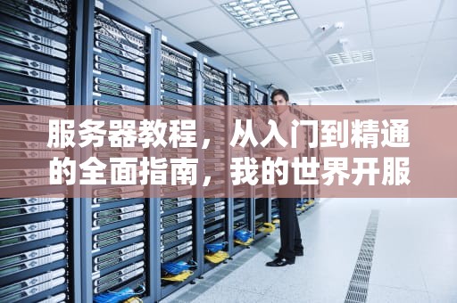 服务器教程，从入门到精通的全面指南，我的世界开服务器教程