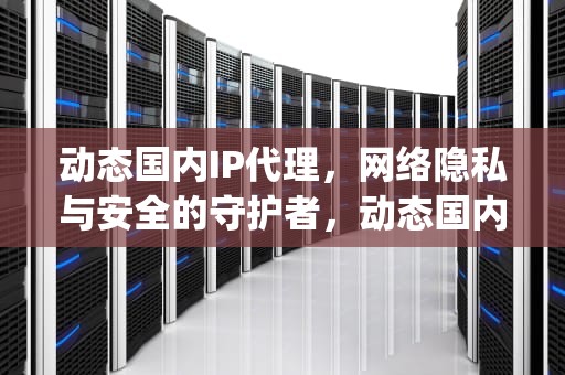 动态国内IP代理，网络隐私与安全的守护者，动态国内ip代理ip