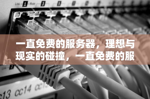 一直免费的服务器，理想与现实的碰撞，一直免费的服务器下载