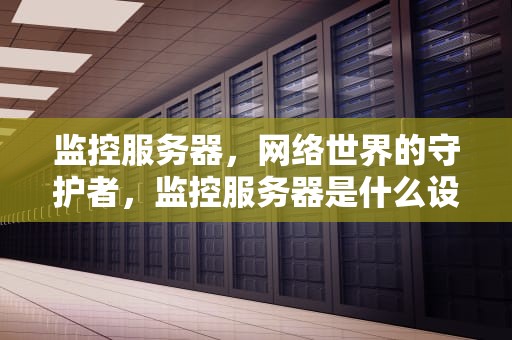 监控服务器，网络世界的守护者，监控服务器是什么设备