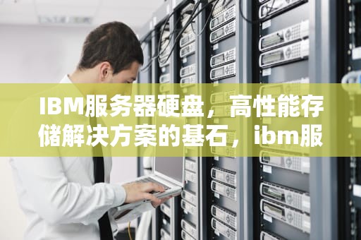 IBM服务器硬盘，高性能存储解决方案的基石，ibm服务器硬盘黄灯常亮