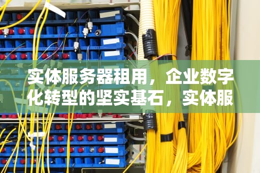 实体服务器租用，企业数字化转型的坚实基石，实体服务器租用多少钱