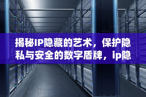 揭秘IP隐藏的艺术，保护隐私与安全的数字盾牌，ip隐藏软件