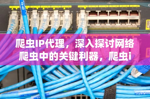爬虫IP代理，深入探讨网络爬虫中的关键利器，爬虫ip代理巨量http 爬虫价格低