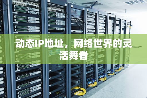 动态IP地址，网络世界的灵活舞者