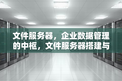 文件服务器，企业数据管理的中枢，文件服务器搭建与使用详解