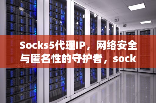 Socks5代理IP，网络安全与匿名性的守护者，socks5代理ip账号密码