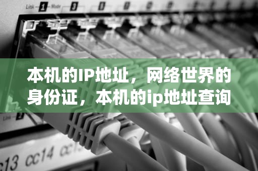 本机的IP地址，网络世界的身份证，本机的ip地址查询