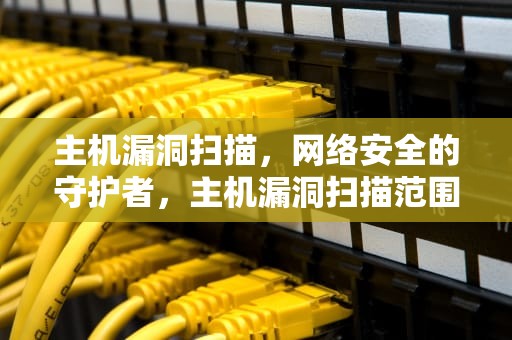 主机漏洞扫描，网络安全的守护者，主机漏洞扫描范围包含哪些