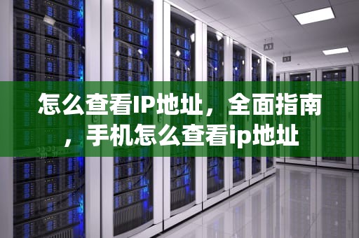 怎么查看IP地址，全面指南，手机怎么查看ip地址
