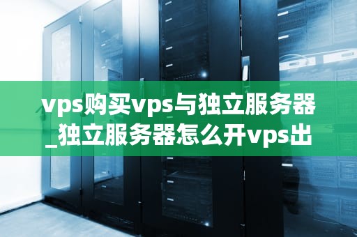 vps购买vps与独立服务器_独立服务器怎么开vps出售_VPS购买与独立服务器的比较分析